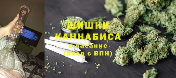 шишки Алзамай