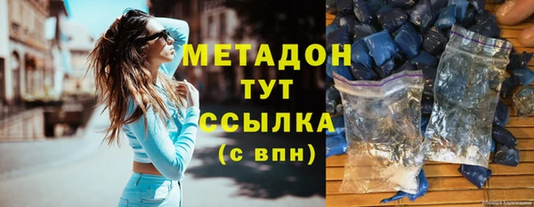 амф Гусь-Хрустальный
