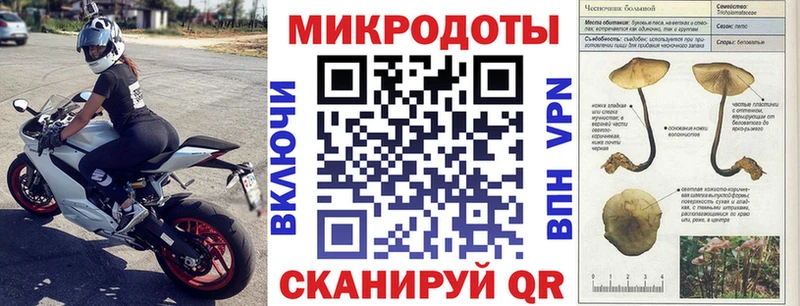 Псилоцибиновые грибы GOLDEN TEACHER  купить  сайты  Учалы 